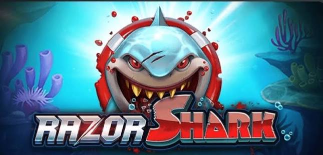 Razor Shark Port Erfahrungsbericht Razor Shark Port Erfahrungsbericht